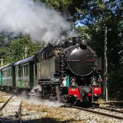 La storica ferrovia a scartamento ridotto torna a vivere tra Camigliatello e San Nicola