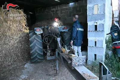 carabinieri