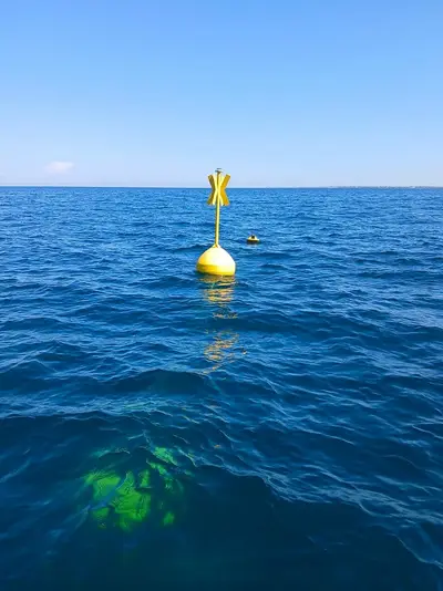 boa in mare