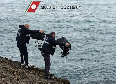 guardia costiera getta in mare ricci