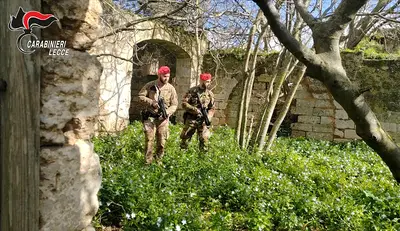 militari