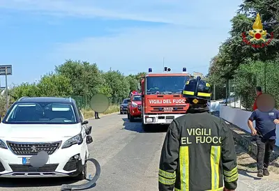 vigili del fuoco