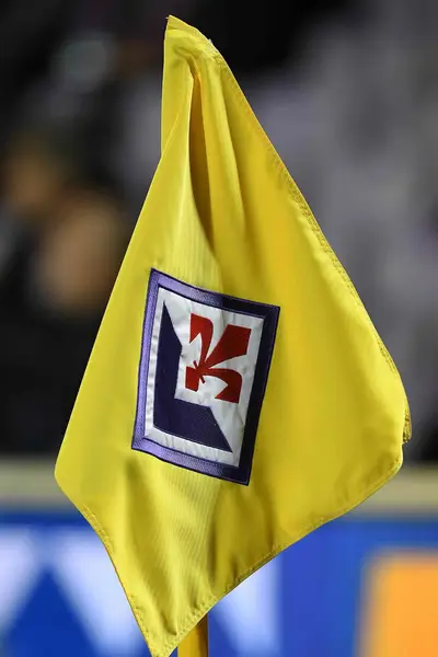 Bandierina Stadio Fiorentina (ph. G.Morini)
