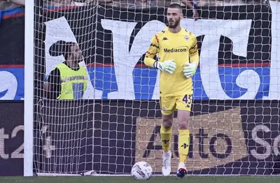 (CREDITI ACF FIORENTINA)