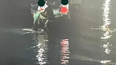 pesca abusiva