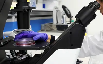 analisi laboratorio