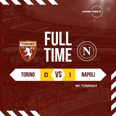 Risultato Torino Napoli