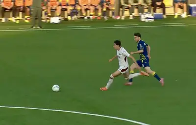 Hellas Verona Torino 0-1. La decide Sandrucci