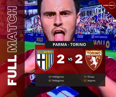 Parma Torino 2-2