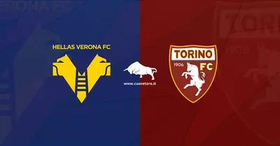 Hellas Verona Torino, 18 giornata