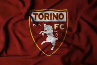 Bandiera del Torino