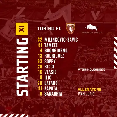 Formazione Torino Udinese
