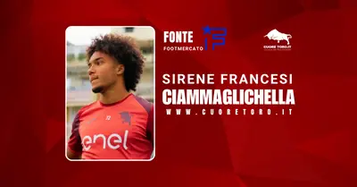 Aaron Ciammaglichella, Torino Fc