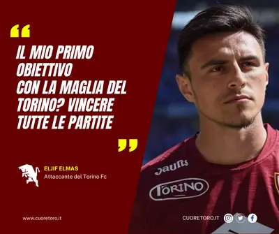 Dichiarazioni Elmas