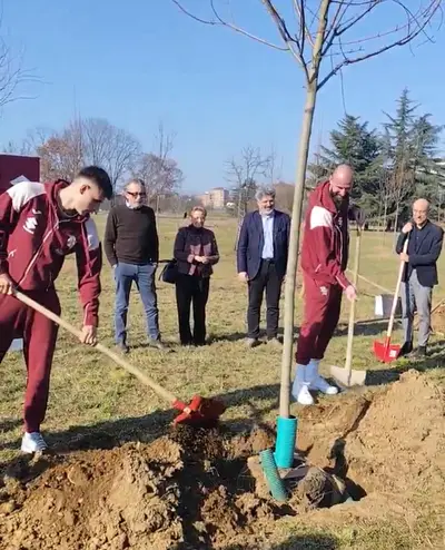 Gineitis e Milinkovic-Savic