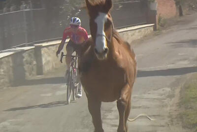 Strade Bianche 2023, il momento in cui Demi Vollering si trova davanti un cavallo