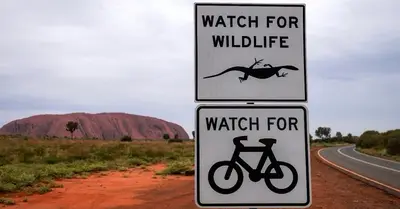 watch-for-cyclists