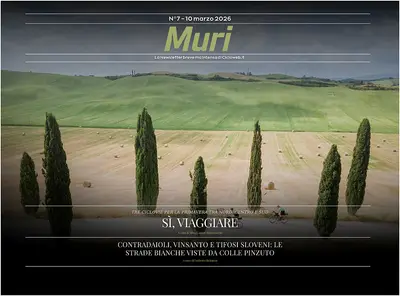La copertina del 7 numero di Muri