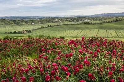 Uno dei panorami della Via Lauretana Toscana © Terre di Siena