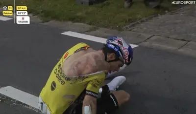 Dwars door Vlaanderen 2024, Wout Van Aert a terra nella discesa del Kanarieberg
