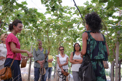 Tutte le foto sono di Maria Antonazzo