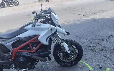 Foto Francesco Manfuso