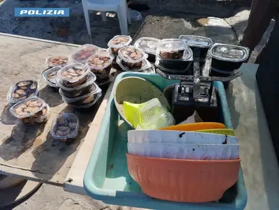 Taranto, sequestrati 120 kg di cozze: tre denunciati