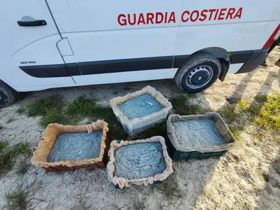 Sequestrati 200 kg di novellame lungo la foce del fiume Agri