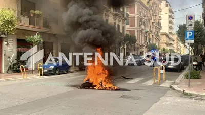 Foto Francesco Manfuso