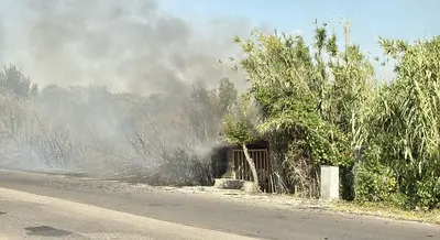 Foto Francesco Manfuso