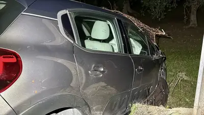 Foto Francesco Manfuso