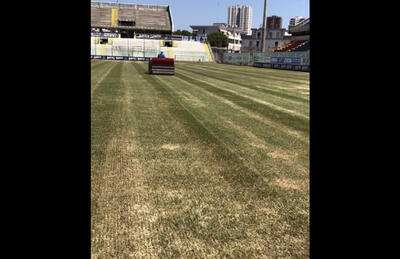 Foto e video Michele Pasquale (Facebook)