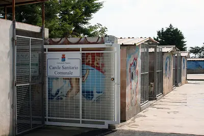 Canile comunale via Galeso (foto Massimo Todaro)