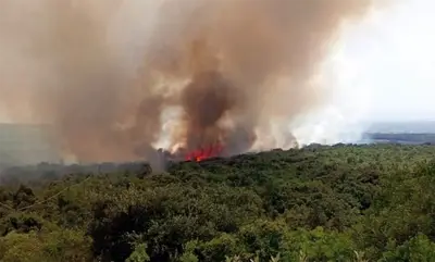 Incendio nel tarantino