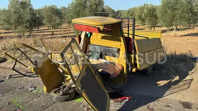 (foto Francesco Manfuso)