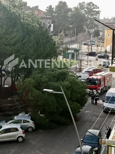 Foto Francesco Manfuso