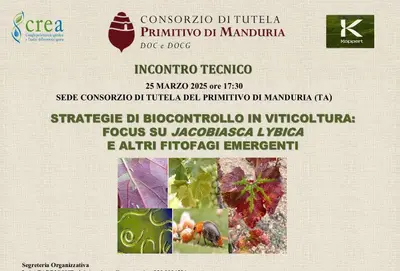 Viticoltura e sostenibilità