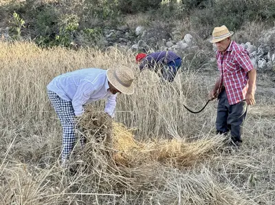 Foto Marco Amatimaggio