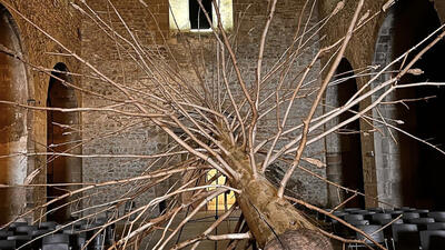 L’albero dei Tutti