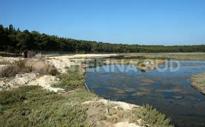 La Palude La Vela (foto Todaro/AntennaSud)