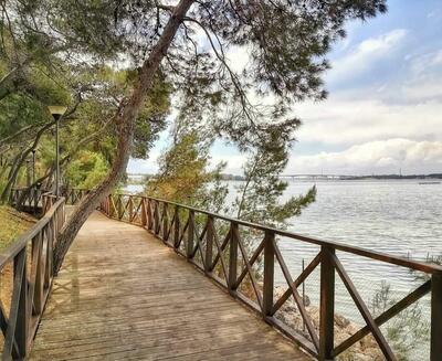 Il Parco Cimino nella foto Pinterest