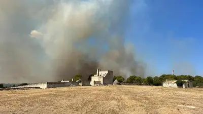 Incendio a Statte (foto Francesco Manfuso)