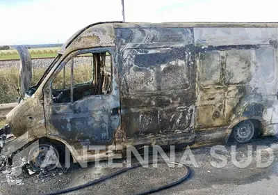 Foto Francesco Manfuso