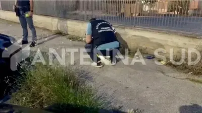 Foto Francesco Manfuso