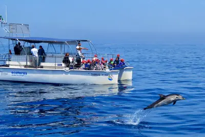 Foto Jonian Dolphin Conservation