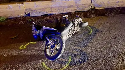 Foto Francesco Manfuso