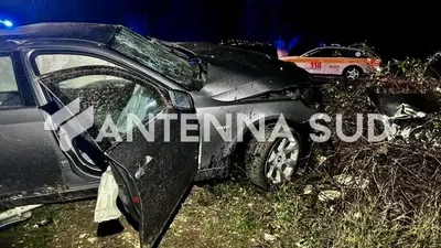 Foto Francesco Manfuso