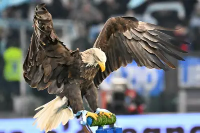 aquila Olympia