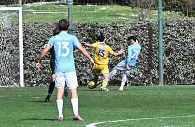 fraioli