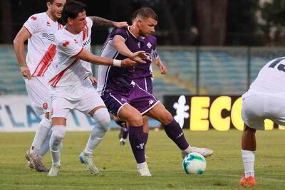 Dzeko Fiorentina